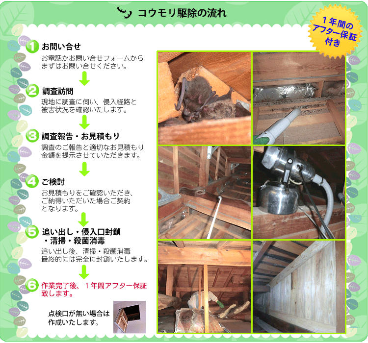 山城害虫駆除 コウモリ駆除 スズメバチ ミツバチ アシナガバチなどのハチ駆除 イタチやアライグマなど ハト駆除 鳩対策 天井裏 屋根裏 でカサカサ ゴソゴソ物音や悪臭はしませんか